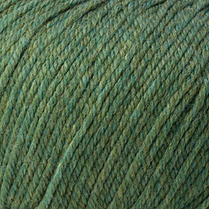 Cascade 220 Superwash Worsted Yarn color 419 Meadow Heather
