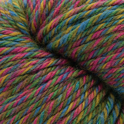 Cascade 220 Superwash Aran Wave color 119 Wildflower