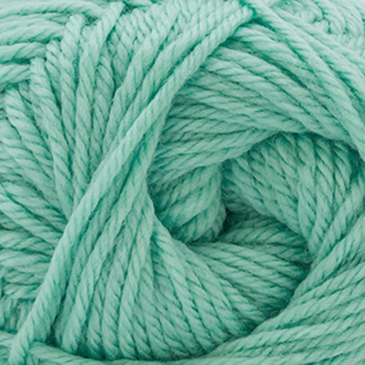 Cascade 220 Superwash Merino Medium Worsted Yarn color 134 Lichen