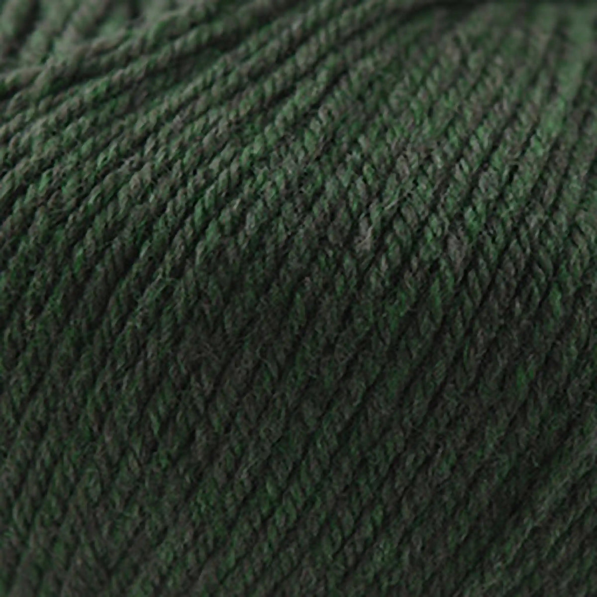 Cascade 220 Superwash Worsted Yarn color 1918 Shire