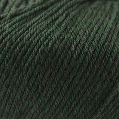 Cascade 220 Superwash Worsted Yarn color 1918 Shire