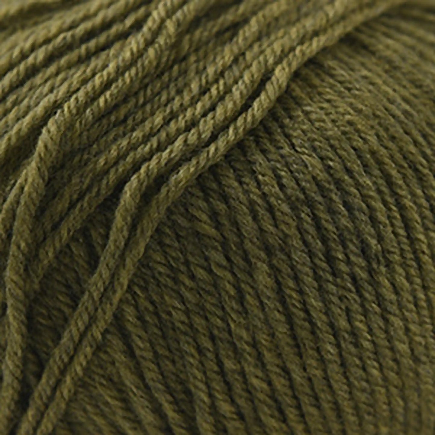 Cascade 220 Superwash Worsted Yarn color 1919 Turtle