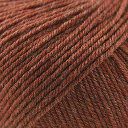 Cascade 220 Superwash Worsted Yarn color 1920 Pumpkin Spice