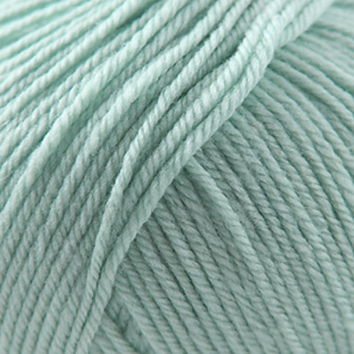 Cascade 220 Superwash Worsted Yarn color 1942 Mint