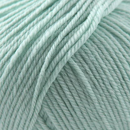 Cascade 220 Superwash Worsted Yarn color 1942 Mint