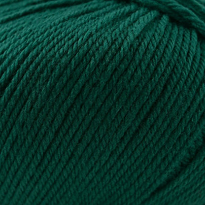 Cascade 220 Superwash Worsted Yarn color 1950 Hunter Green