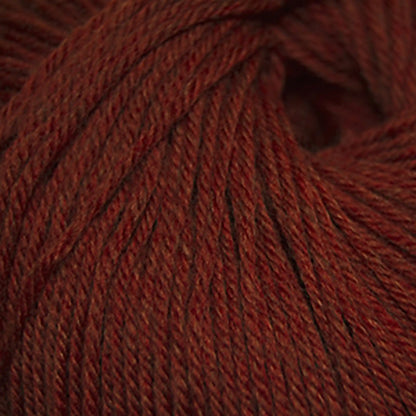 Cascade 220 Superwash Worsted Yarn color 1975 Provence