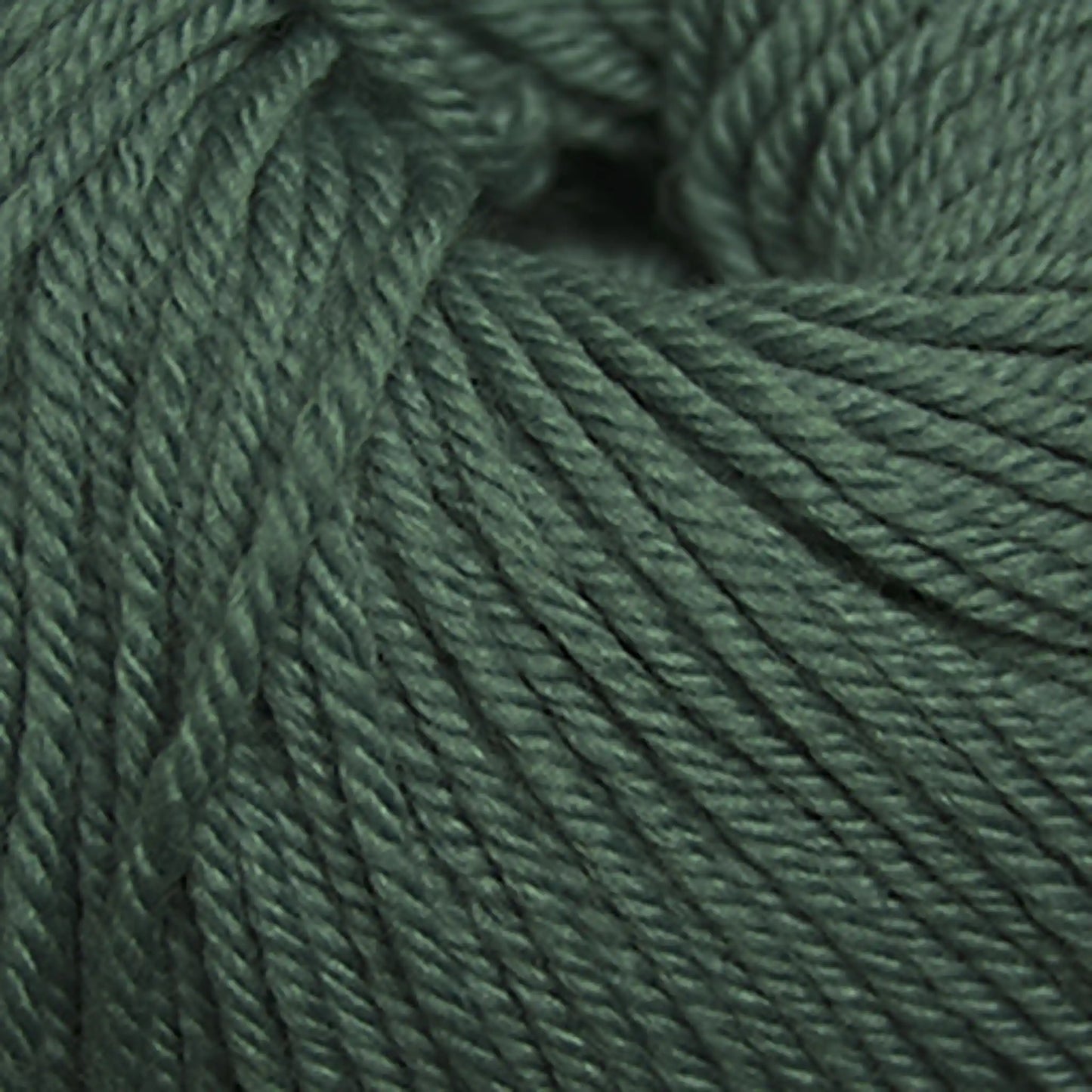 Cascade 220 Superwash Worsted Yarn color 1985 Duck Egg Blue