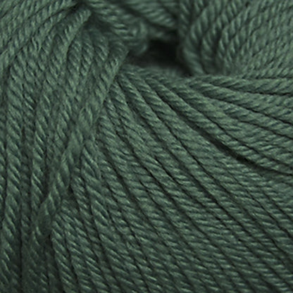 Cascade 220 Superwash Worsted Yarn color 1985 Duck Egg Blue