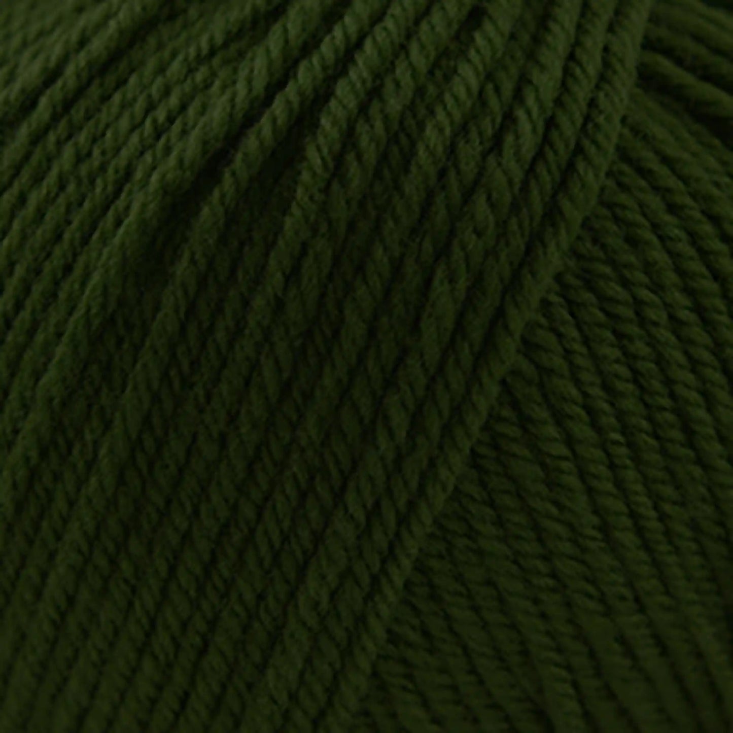 Cascade 220 Superwash Worsted Yarn color 208 Treetop