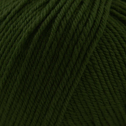 Cascade 220 Superwash Worsted Yarn color 208 Treetop