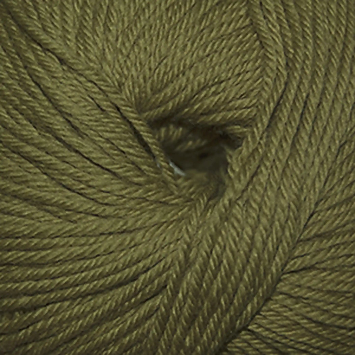 Cascade 220 Superwash Worsted Yarn color 209 Cedar