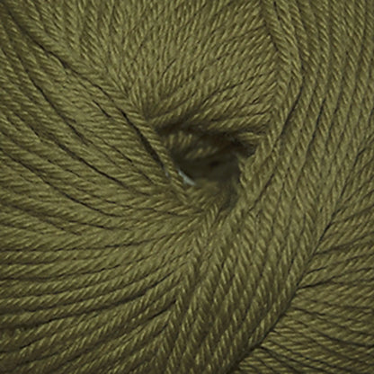 Cascade 220 Superwash Worsted Yarn color 209 Cedar