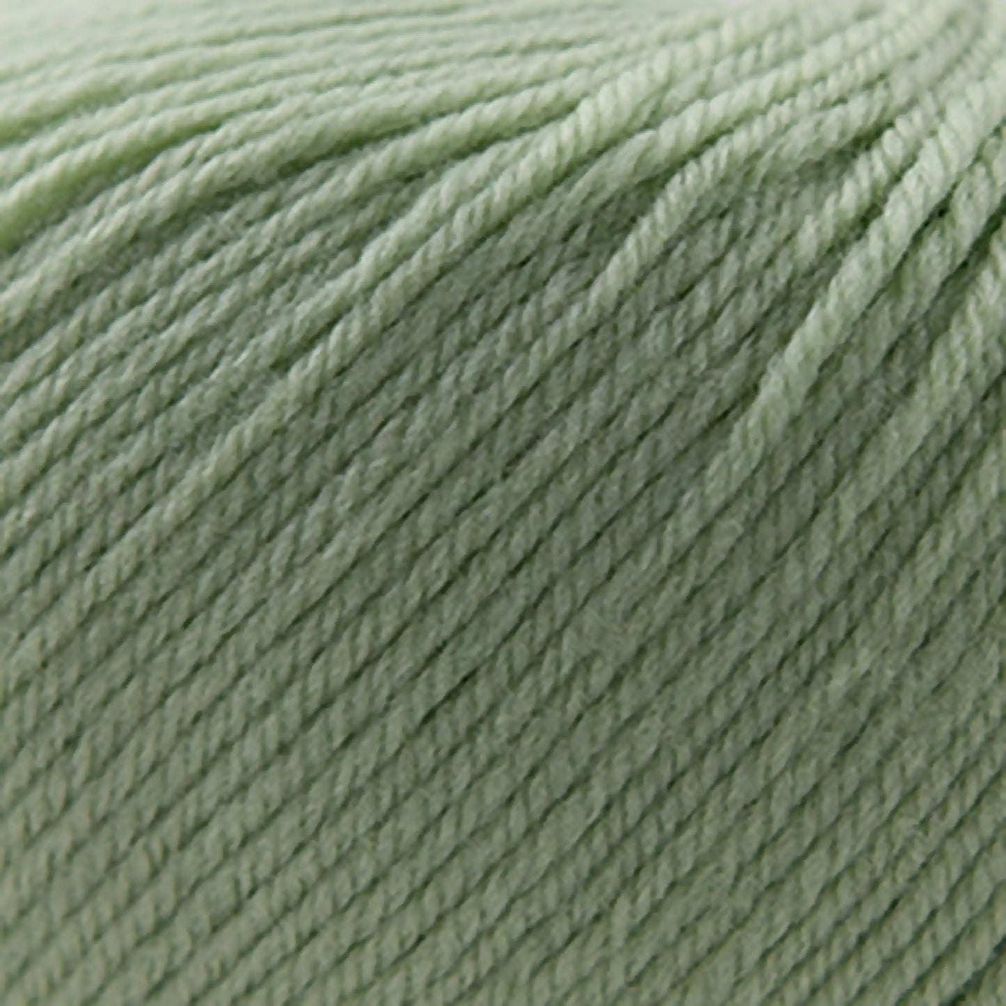 Cascade 220 Superwash Worsted Yarn color 250 Laurel Green