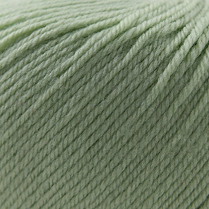 Cascade 220 Superwash Worsted Yarn color 250 Laurel Green