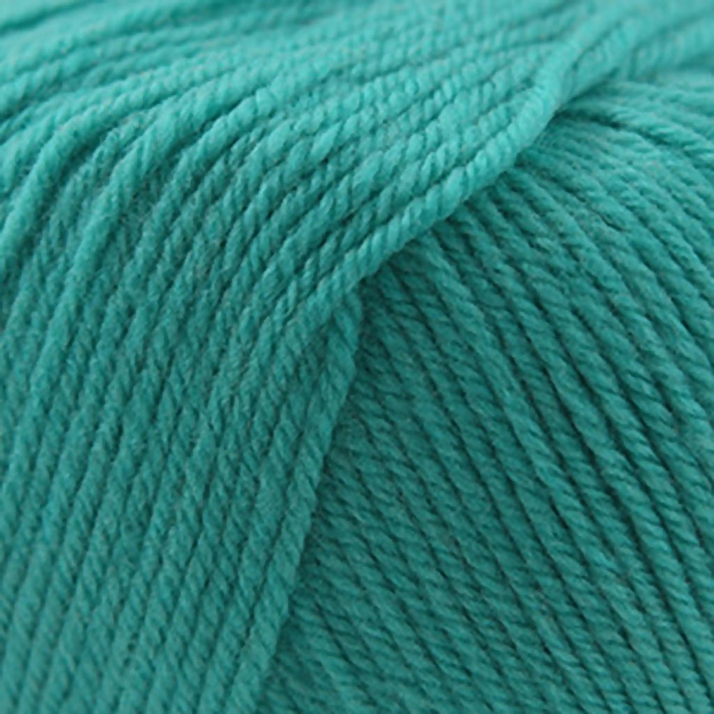 Cascade 220 Superwash Worsted Yarn color 259 Blue Turquoise