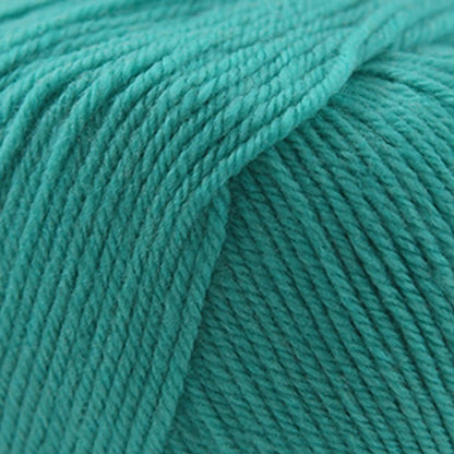 Cascade 220 Superwash Worsted Yarn color 259 Blue Turquoise