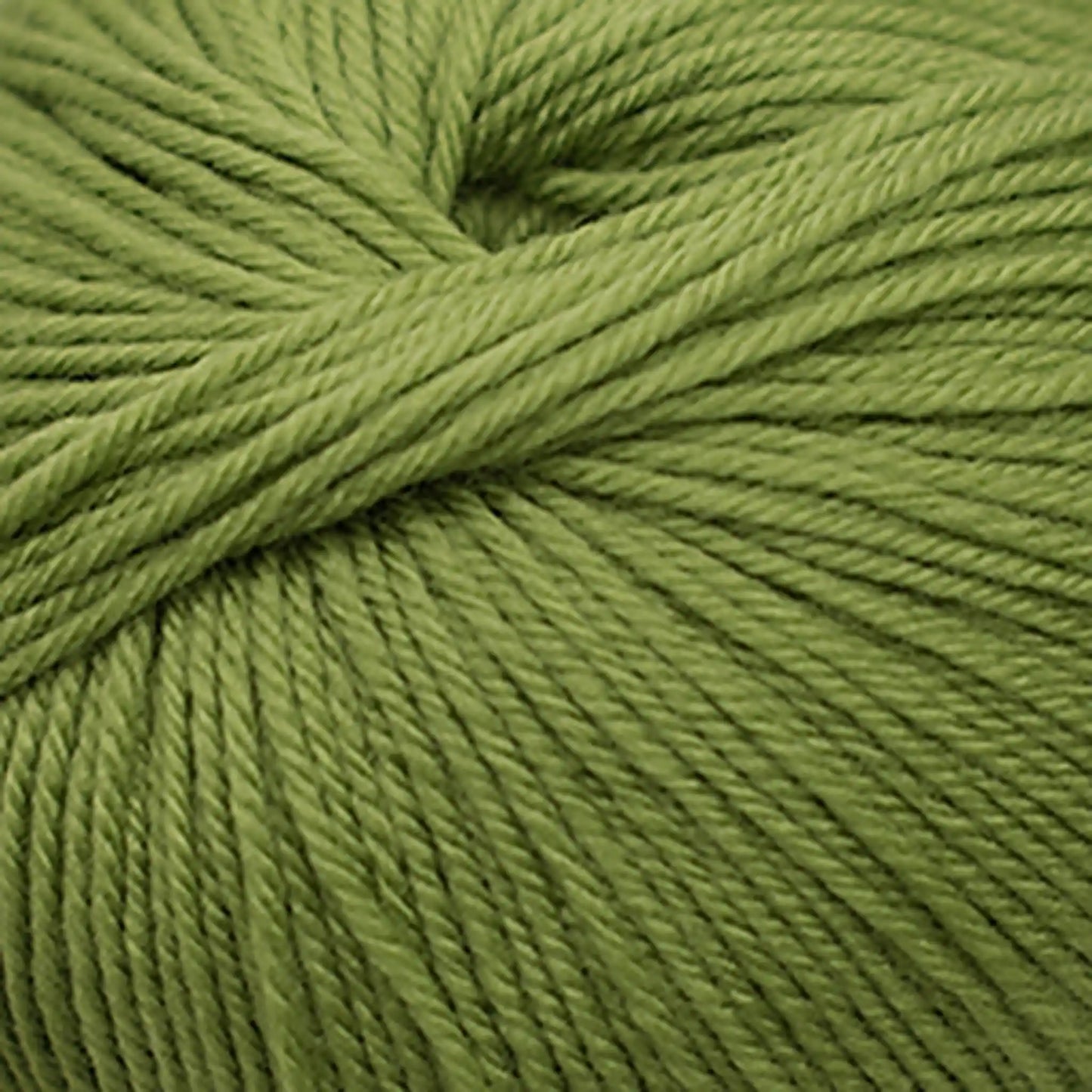 Cascade 220 Superwash Worsted Yarn color 286 Peridot