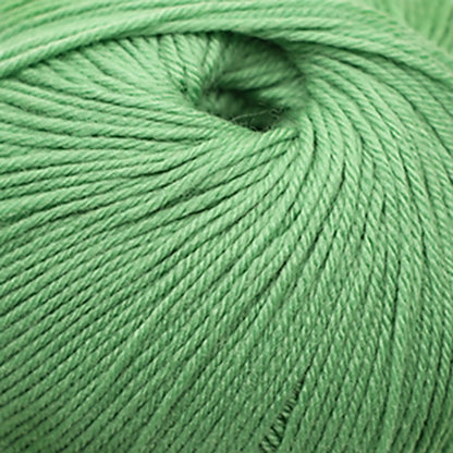 Cascade 220 Superwash Worsted Yarn color 288 Green Spruce