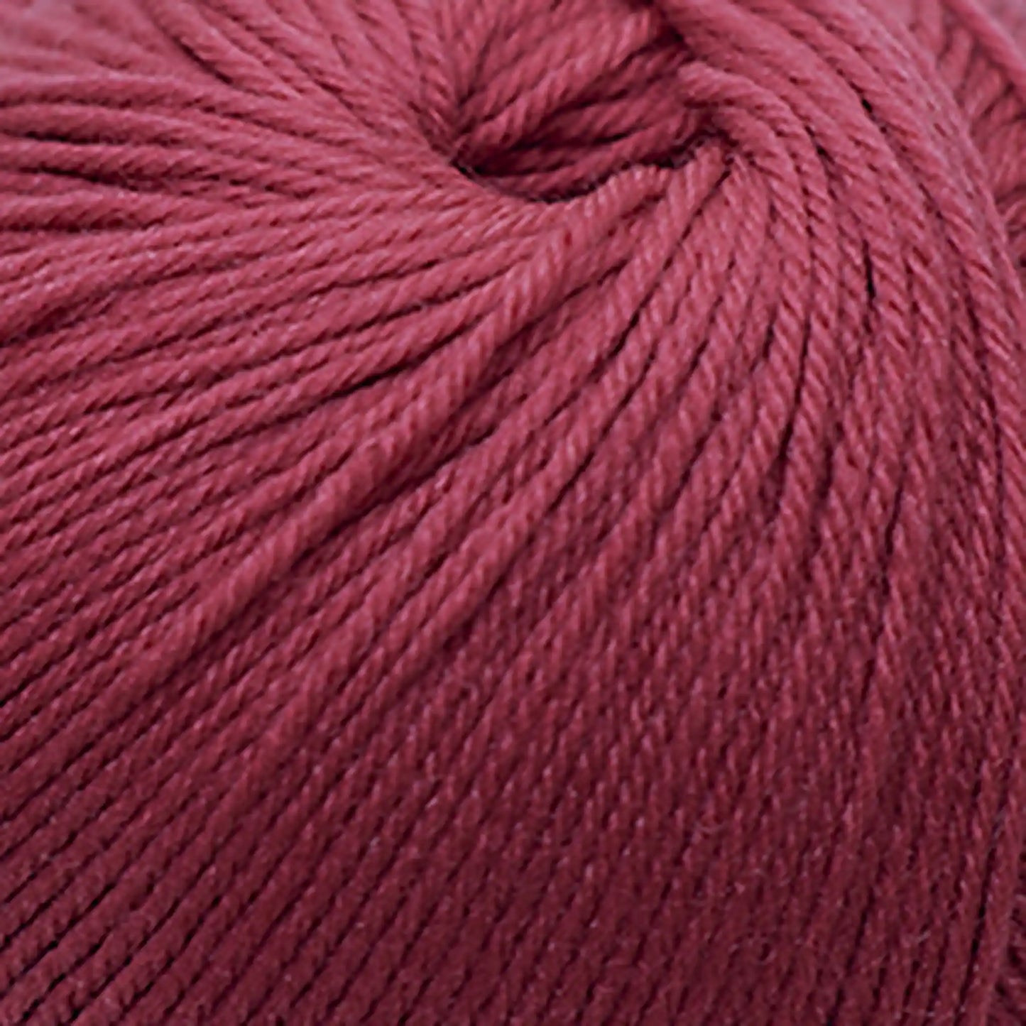 Cascade 220 Superwash Worsted Yarn color 290 Chrysanthemum