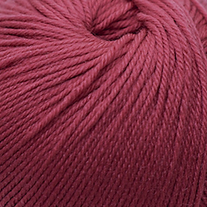 Cascade 220 Superwash Worsted Yarn color 290 Chrysanthemum