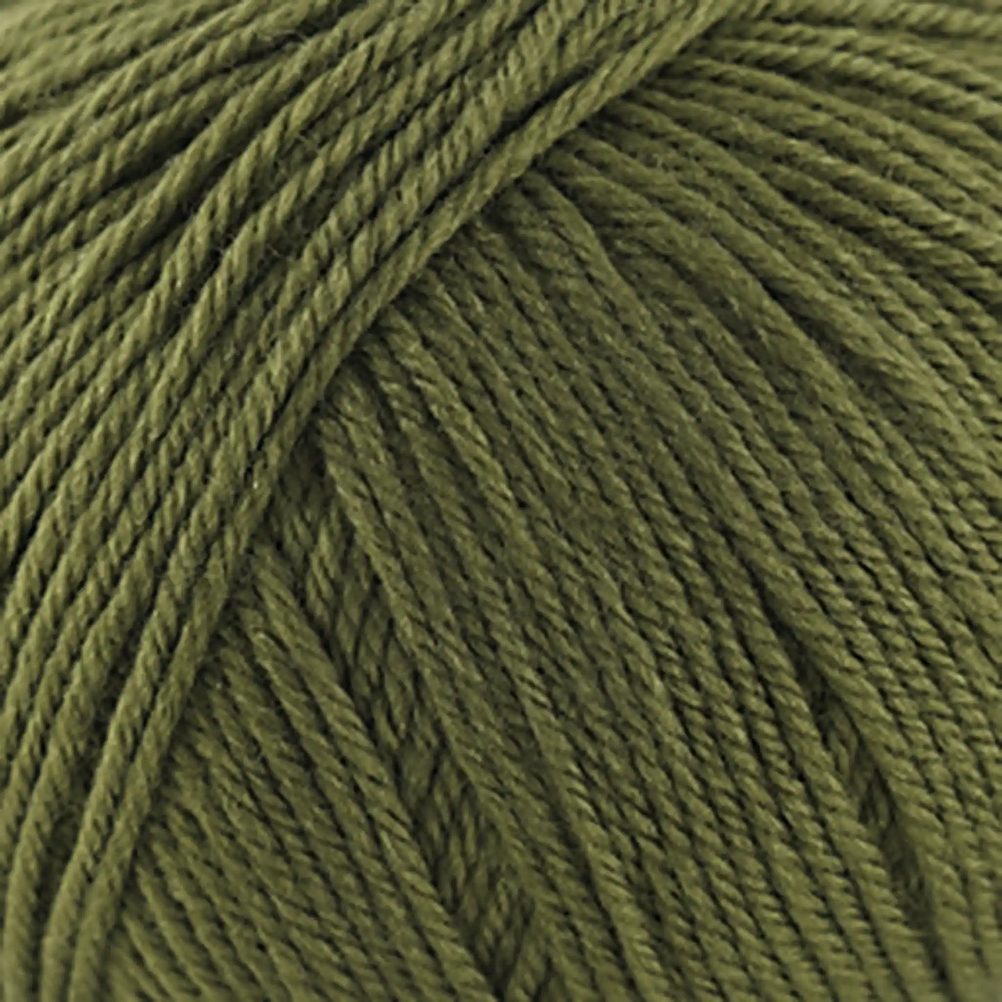 Cascade 220 Superwash Worsted Yarn color 312 Avocado