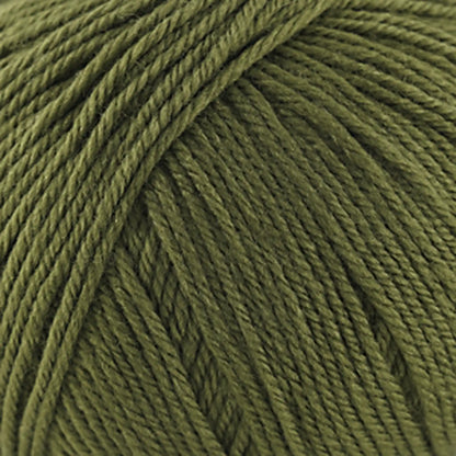 Cascade 220 Superwash Worsted Yarn color 312 Avocado