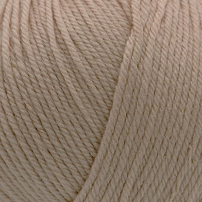 Cascade 220 Superwash Worsted Yarn color 349 Irish Cream