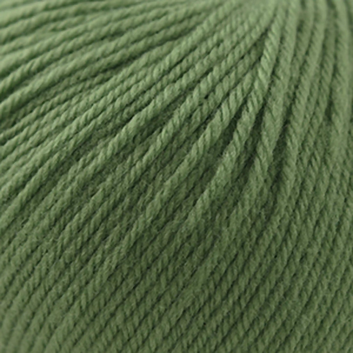 Cascade 220 Superwash Worsted Yarn color 350 Seagrass