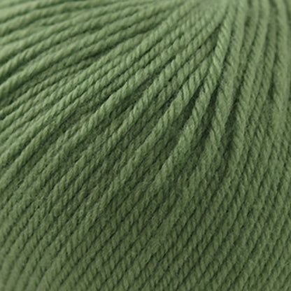 Cascade 220 Superwash Worsted Yarn color 350 Seagrass