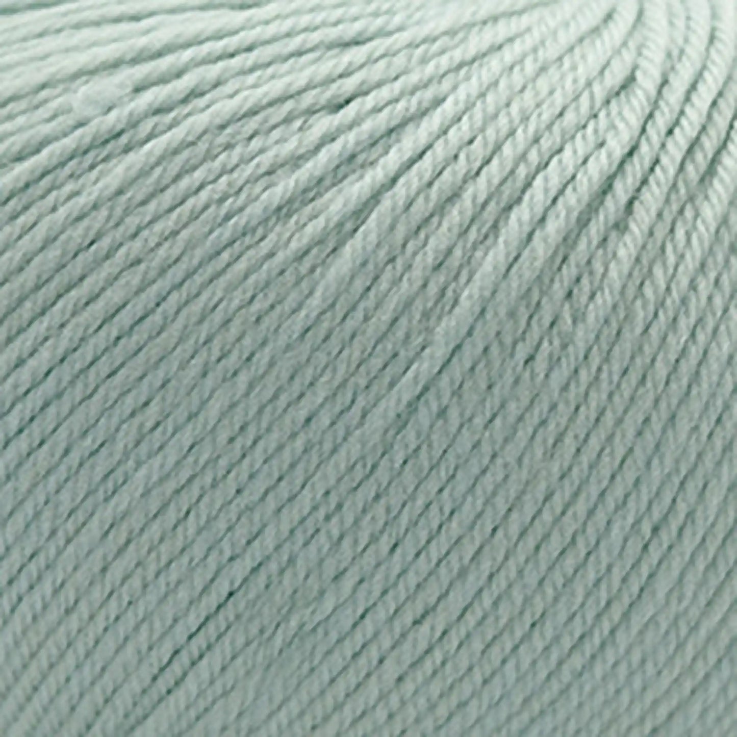Cascade 220 Superwash Worsted Yarn color 351 Pale Jade