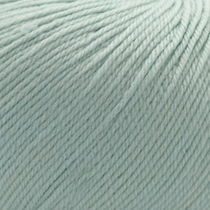 Cascade 220 Superwash Worsted Yarn color 351 Pale Jade