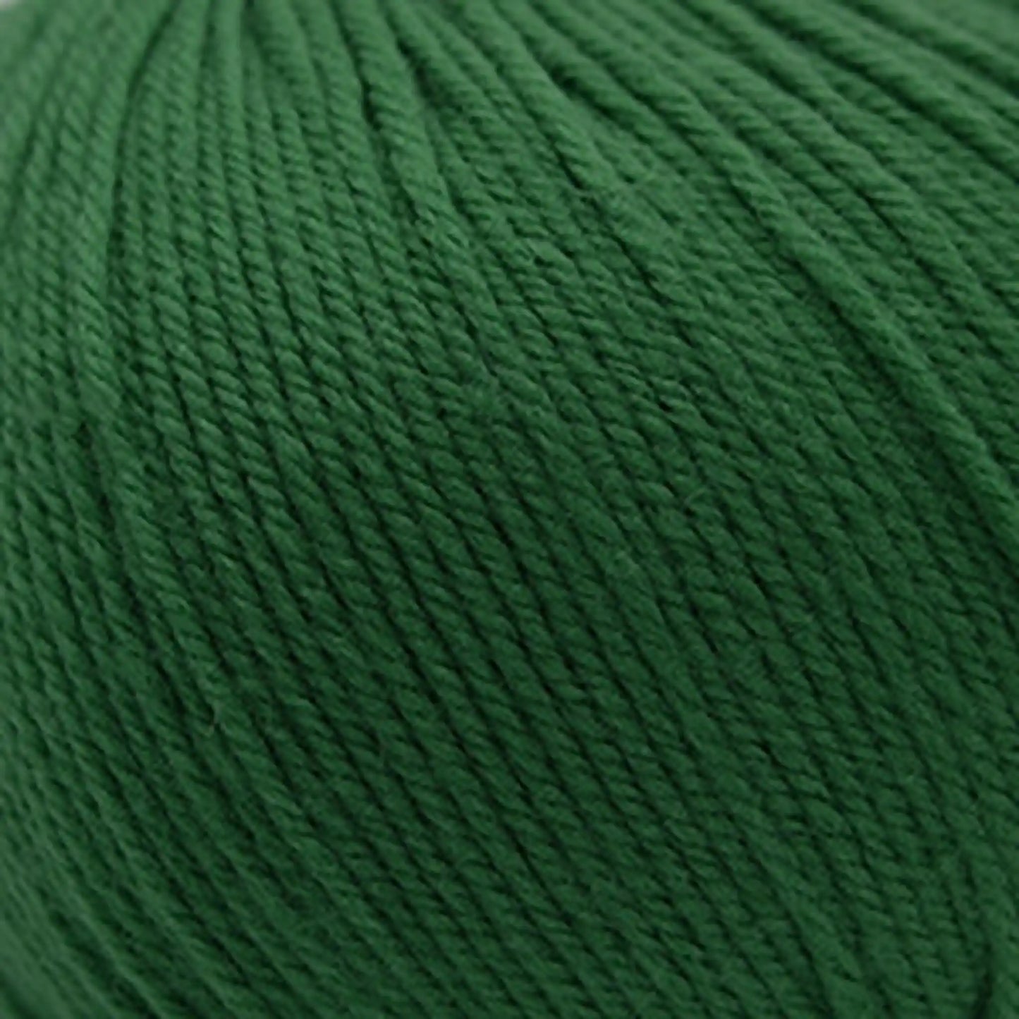 Cascade 220 Superwash Worsted Yarn color 352 Verdant Green