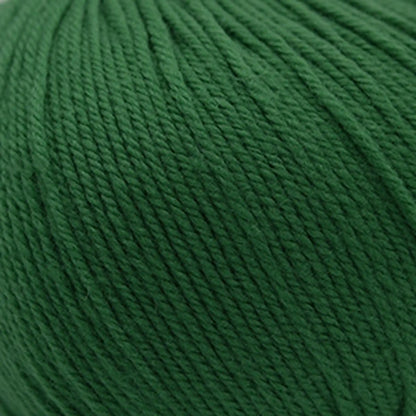 Cascade 220 Superwash Worsted Yarn color 352 Verdant Green