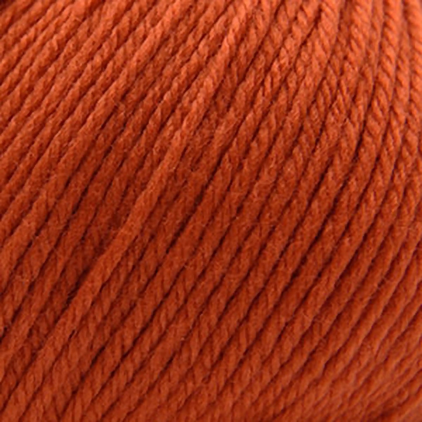 Cascade 220 Superwash Worsted Yarn color 366 Pureed Pumpkin