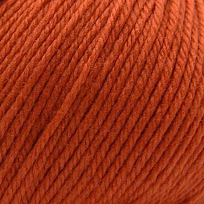 Cascade 220 Superwash Worsted Yarn color 366 Pureed Pumpkin