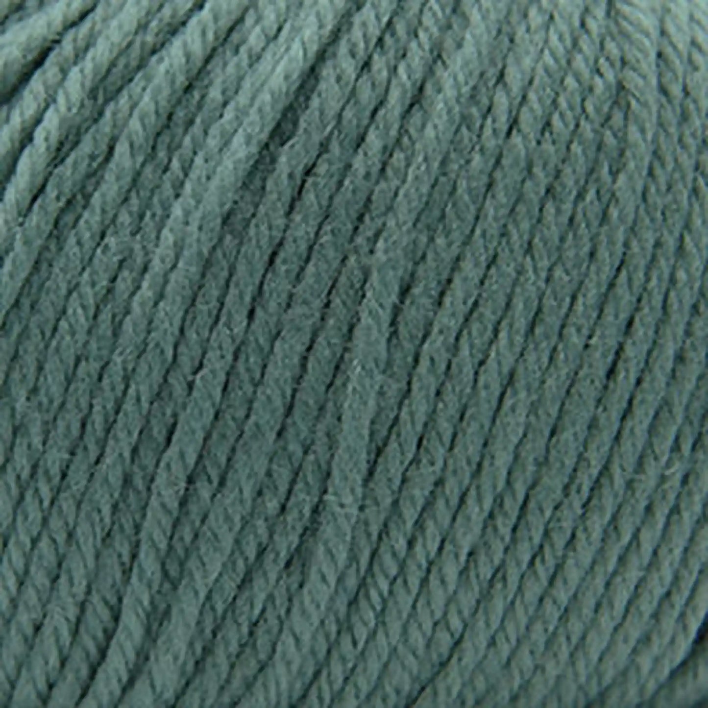 Cascade 220 Superwash Worsted Yarn color 371 Chinois Green