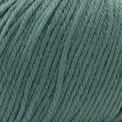 Cascade 220 Superwash Worsted Yarn color 371 Chinois Green