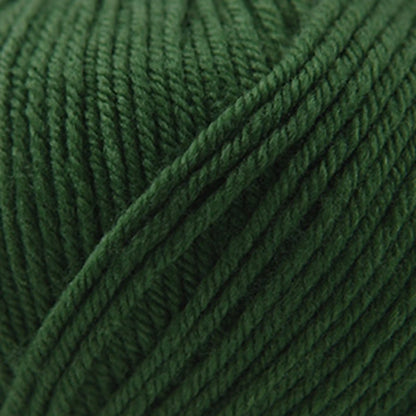 Cascade 220 Superwash Worsted Yarn color 801 Army Green