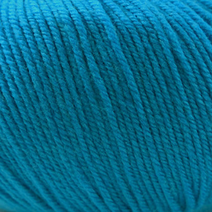 Cascade 220 Superwash Worsted Yarn color 812 Turquoise