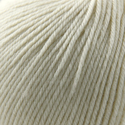 Cascade 220 Superwash Worsted Yarn color 817 Ecru