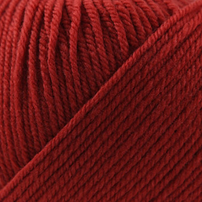 Cascade 220 Superwash Worsted Yarn color 823 Burnt Orange