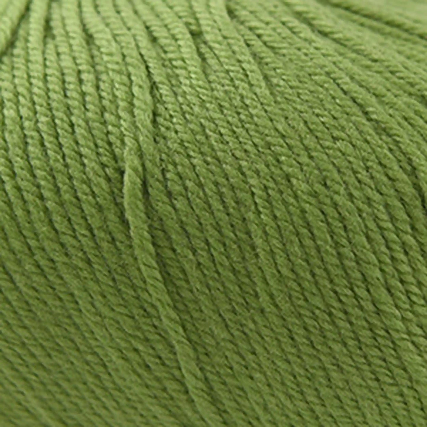 Cascade 220 Superwash Worsted Yarn color 841 Moss