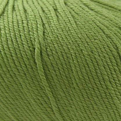 Cascade 220 Superwash Worsted Yarn color 841 Moss