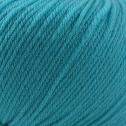 Cascade 220 Superwash Worsted Yarn color 849 Dark Aqua