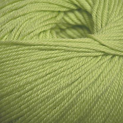 Cascade 220 Superwash Worsted Yarn color 851 Lime