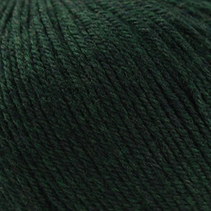 Cascade 220 Superwash Worsted Yarn color 866 Forest Heather