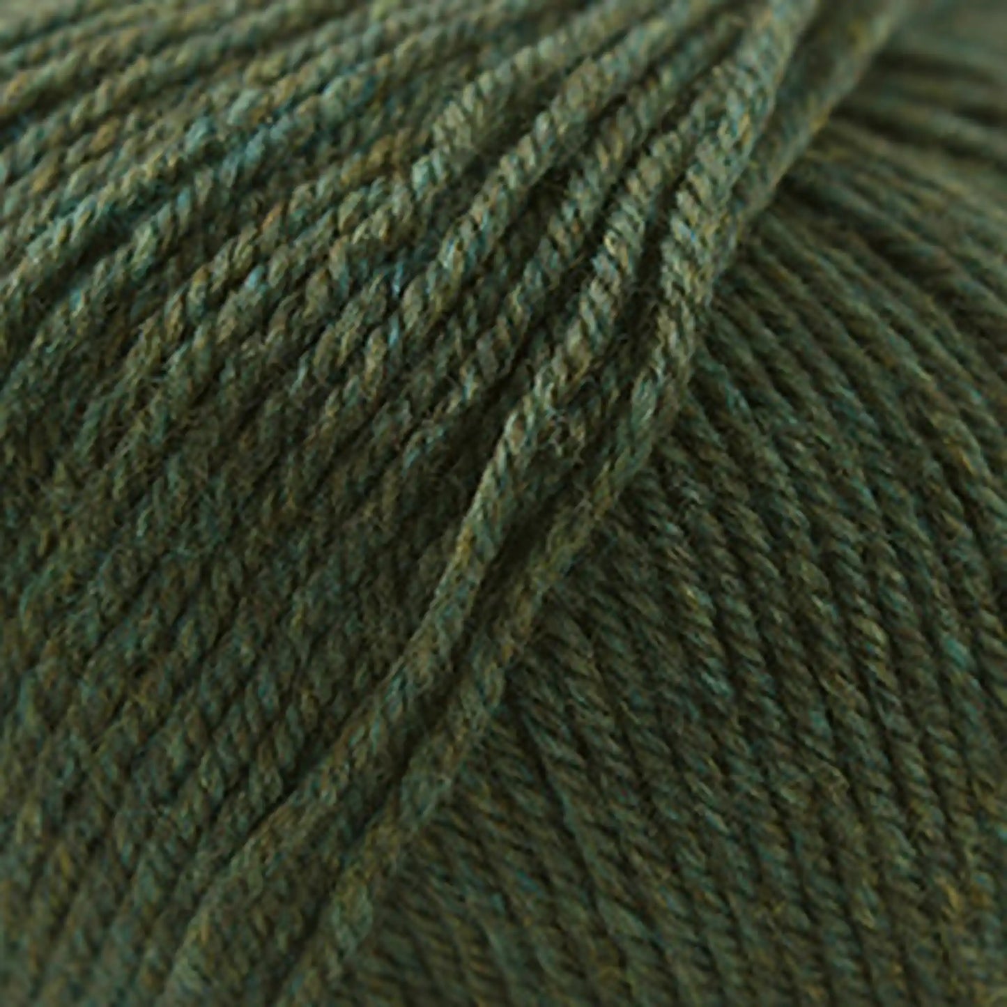 Cascade 220 Superwash Worsted Yarn color 867 Lichen