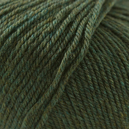 Cascade 220 Superwash Worsted Yarn color 867 Lichen