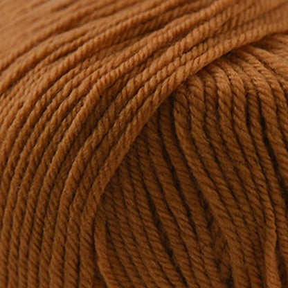 Cascade 220 Superwash Worsted Yarn color 876 Sandalwood